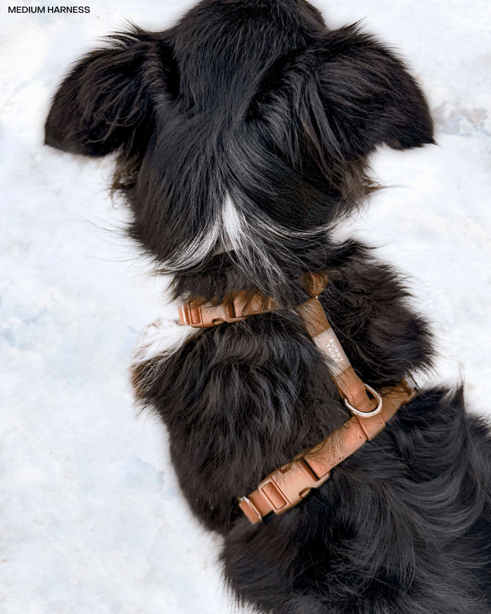 Chai Brown Cloud Lite Dog Harness - SUNNY TAILS
