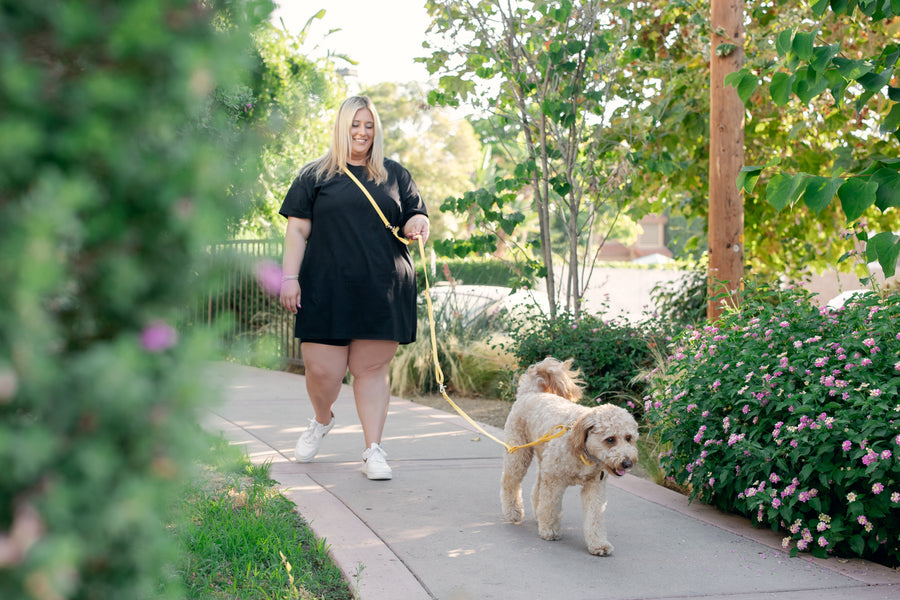 Dandelion Yellow Cloud Leash 4-Way Extension | Leash Connector | Extend Leash, Walk 2 Dogs, or Add a Traffic Handle