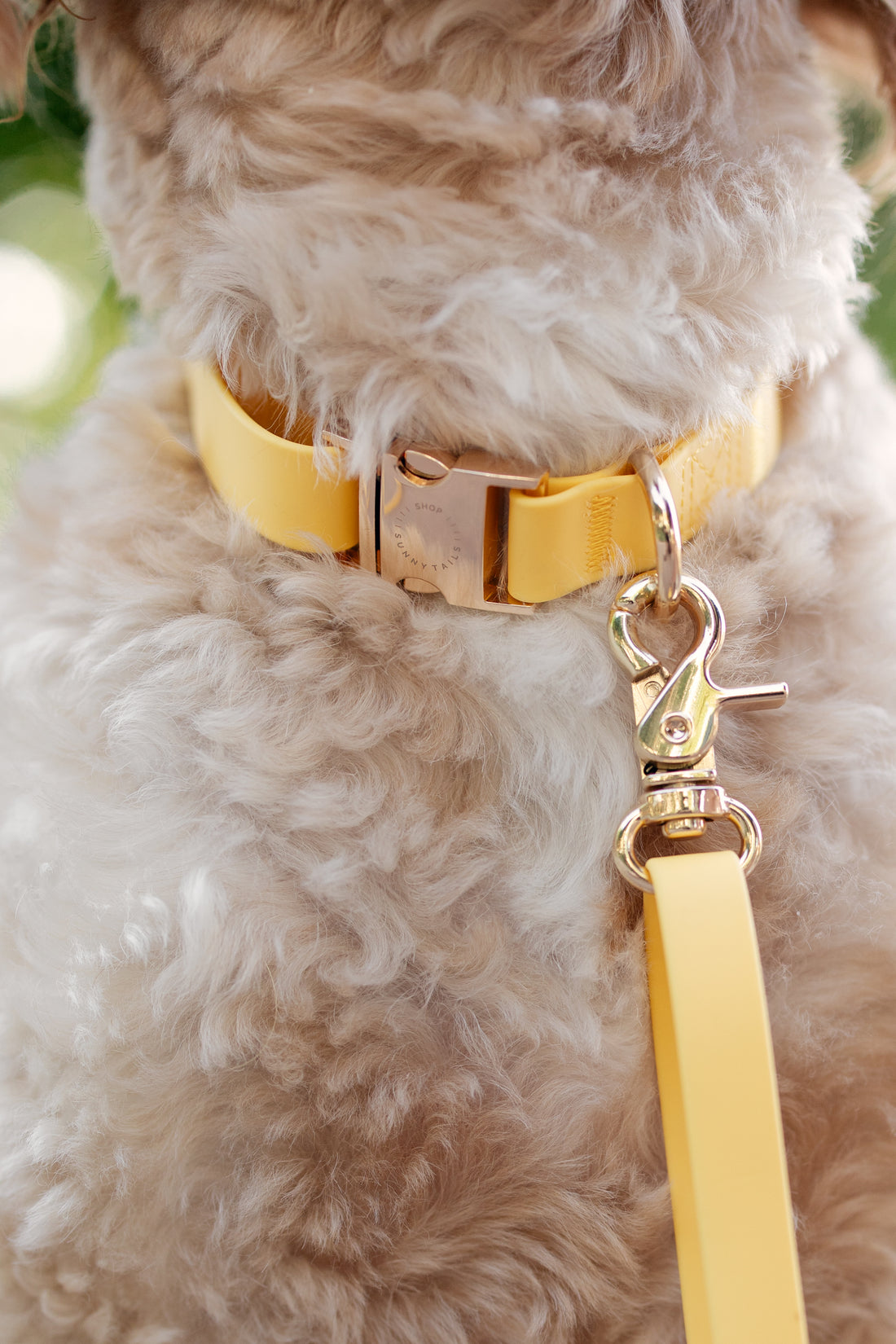 Find Wholesale Dog Collar Hardware And More Pet Accessories