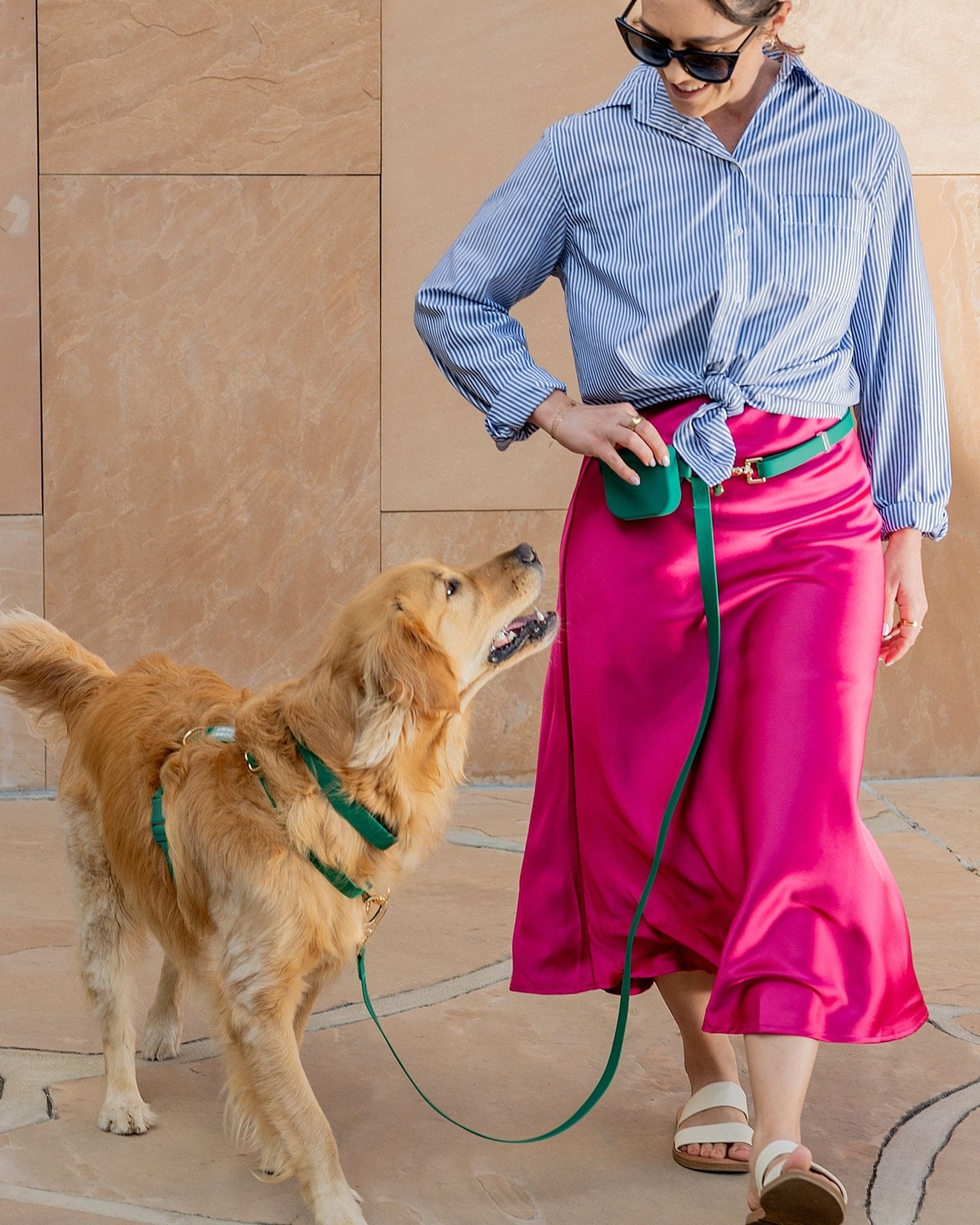 Cloud Lite Dog Harness Bundle - SUNNY TAILS