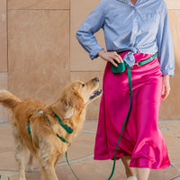 Cloud Lite Dog Harness Bundle