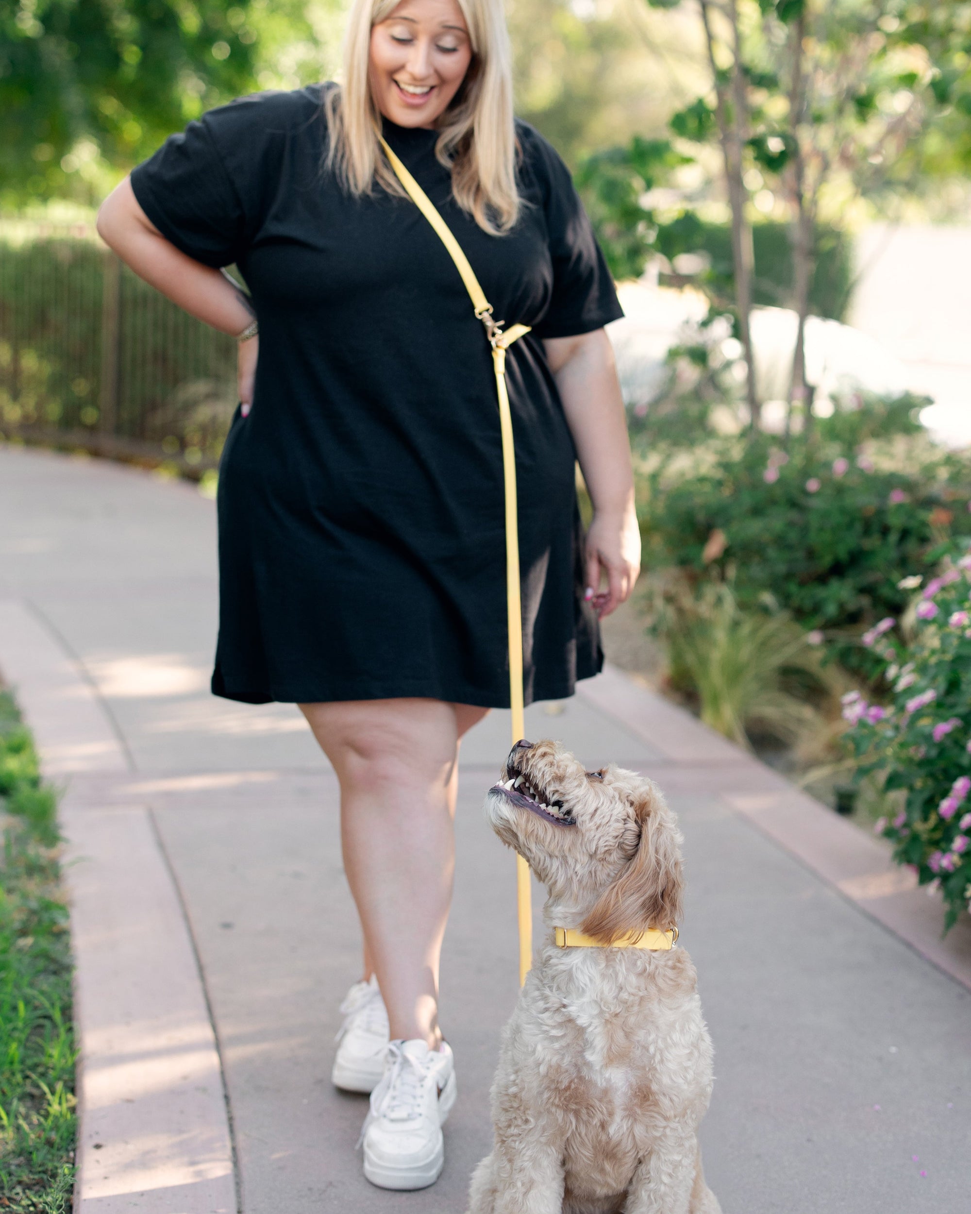 Treat Pouch &amp; 4-in-1 Convertible Hands Free Cloud Dog Leash