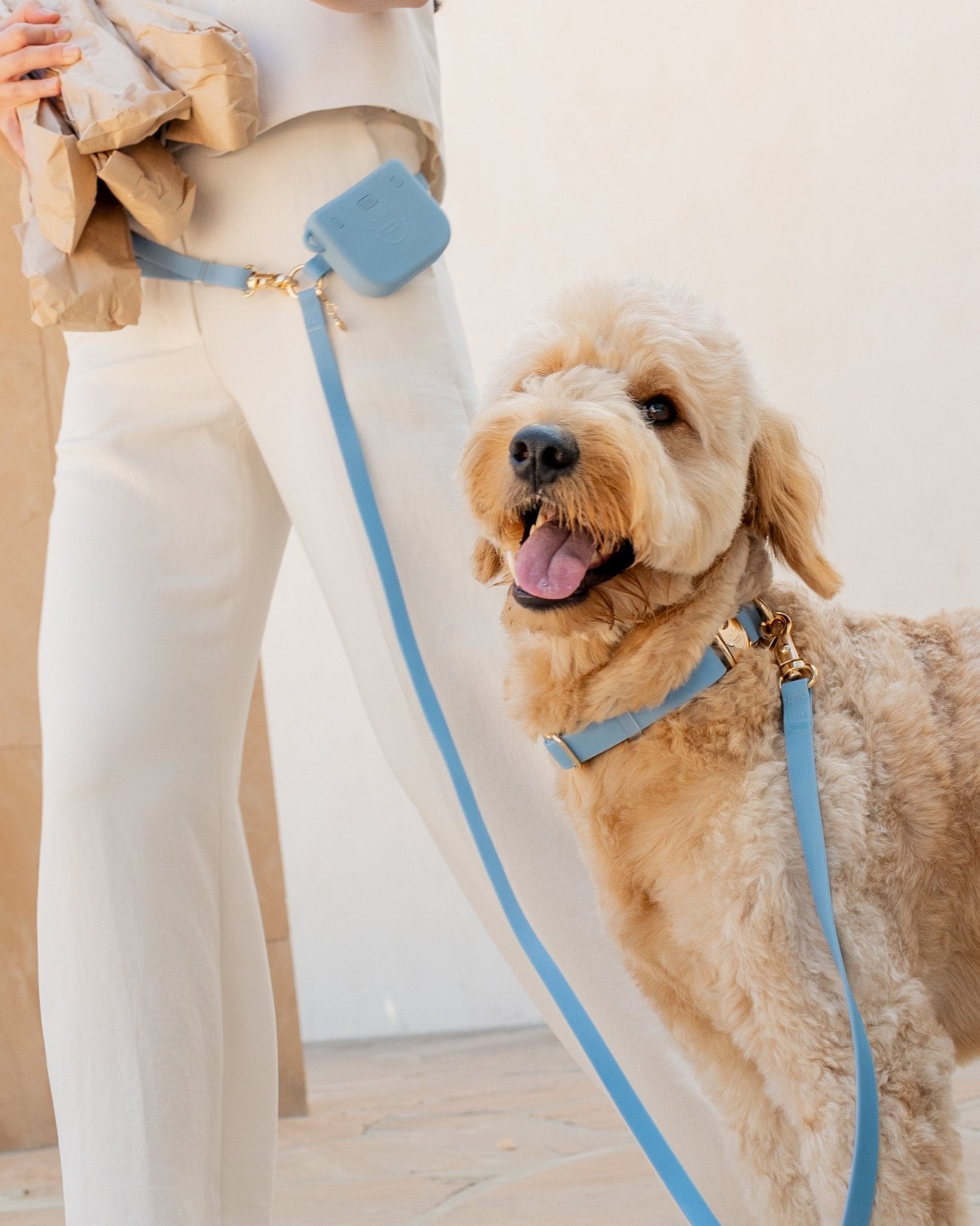 Light Blue Waterproof Dog Collar | Malibu Blue Quick Release Collar |  Available in 3 Sizes | Durable Dog Collars