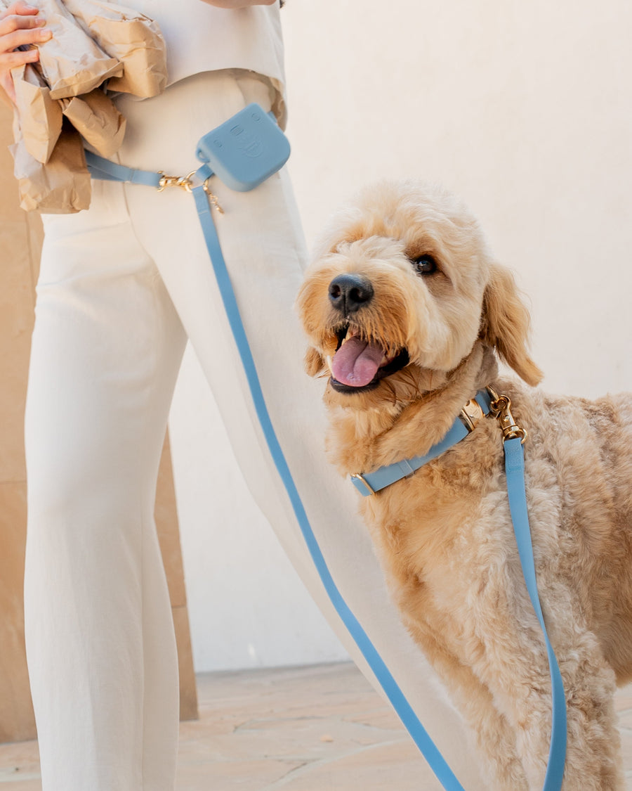 Light Blue Waterproof Dog Collar | Malibu Blue Quick Release Collar | Available in 3 Sizes | Durable Dog Collars | Shop Sunny Tails