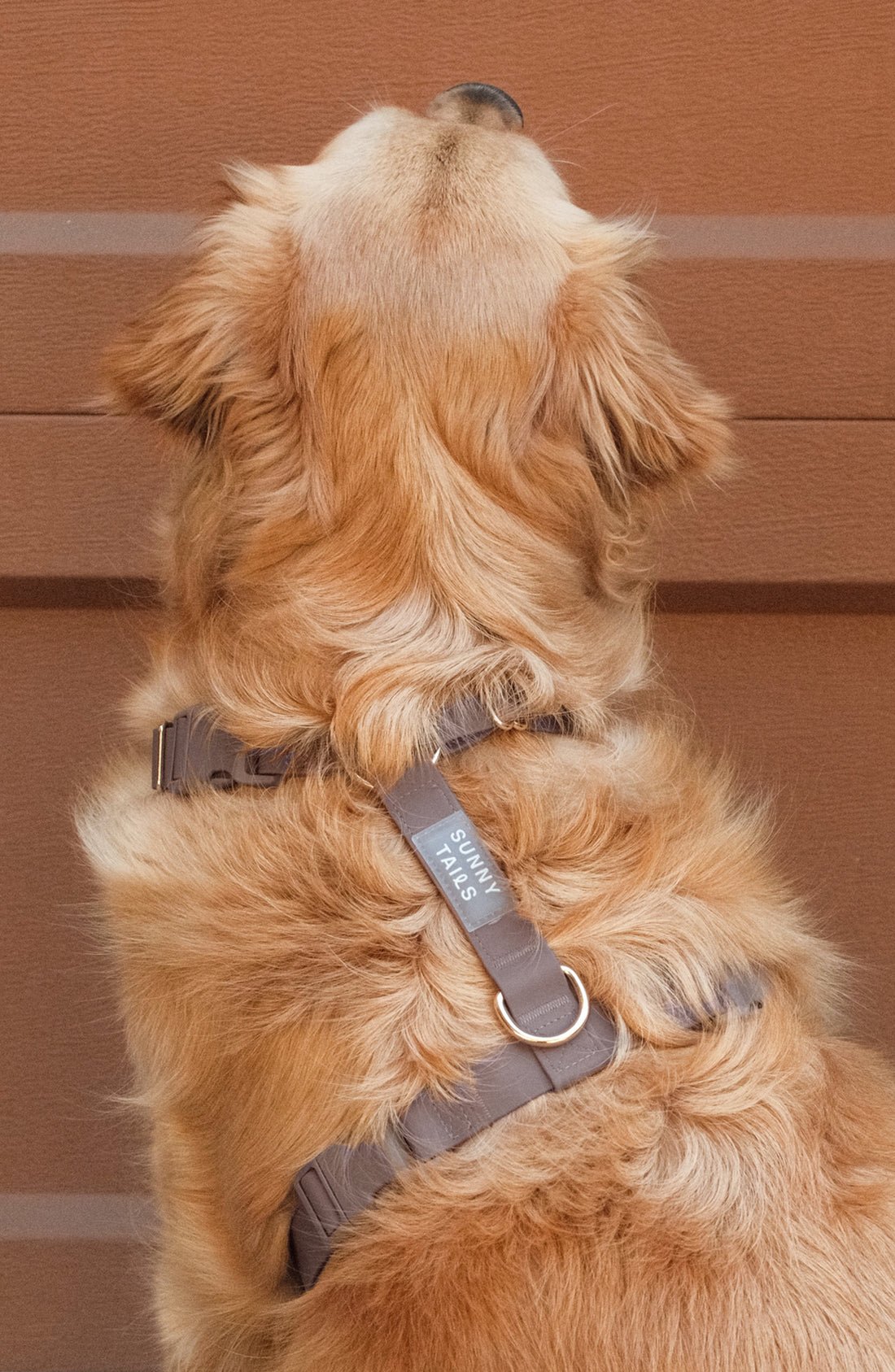 Espresso Brown 4-in-1 Convertible Hands Free Cloud Dog Leash | Multifunctional, Waterproof, and Lightweight Dog Leash | No Pull Dog Harness | Snap Dog Treat Pouch | Dog Waste Poop Bag Dispenser