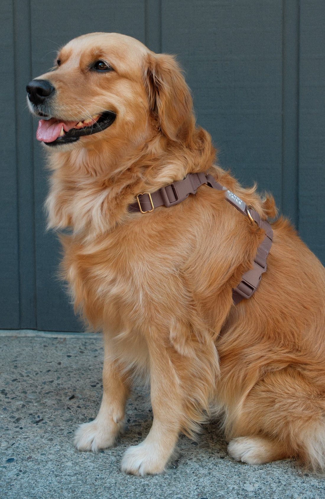 Espresso Brown 4-in-1 Convertible Hands Free Cloud Dog Leash | Multifunctional, Waterproof, and Lightweight Dog Leash | No Pull Dog Harness | Snap Dog Treat Pouch | Dog Waste Poop Bag Dispenser
