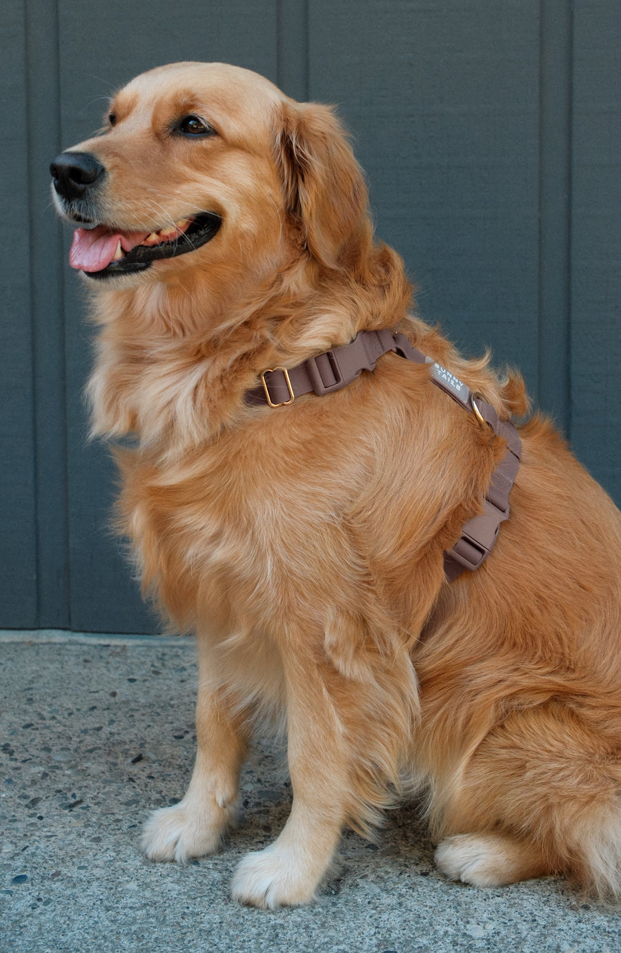 Espresso Brown 4-in-1 Convertible Hands Free Cloud Dog Leash | Multifunctional, Waterproof, and Lightweight Dog Leash | No Pull Dog Harness | Snap Dog Treat Pouch | Dog Waste Poop Bag Dispenser