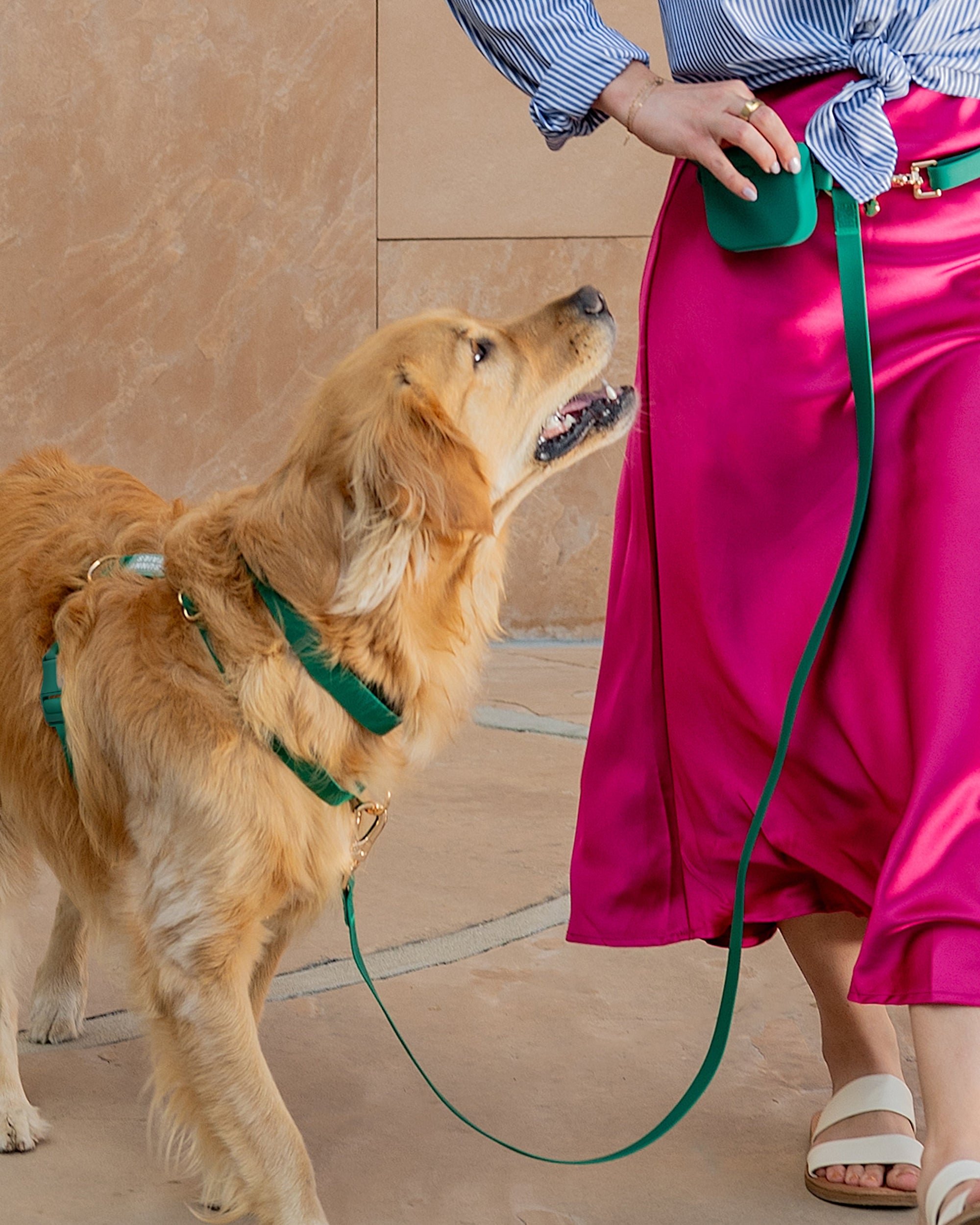 5-Piece Hands Free Set – Leash, Harness, Collar, Treat Pouch &amp; Waste Bag Holder