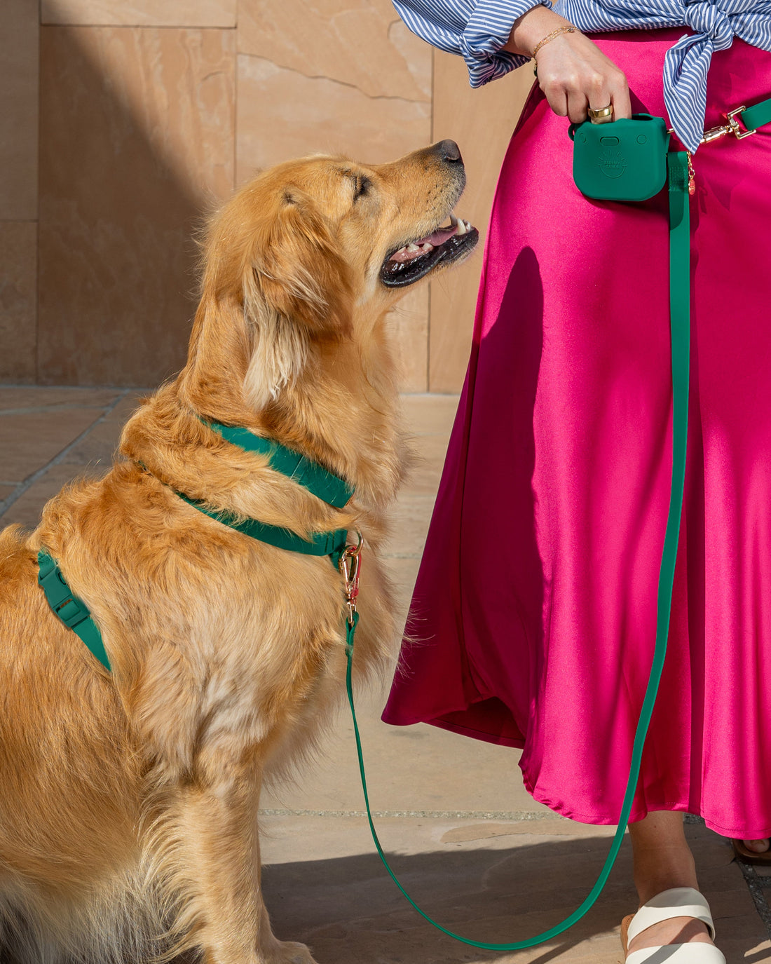 Best Sellers Harness & Treat Pouch Bundle Wide