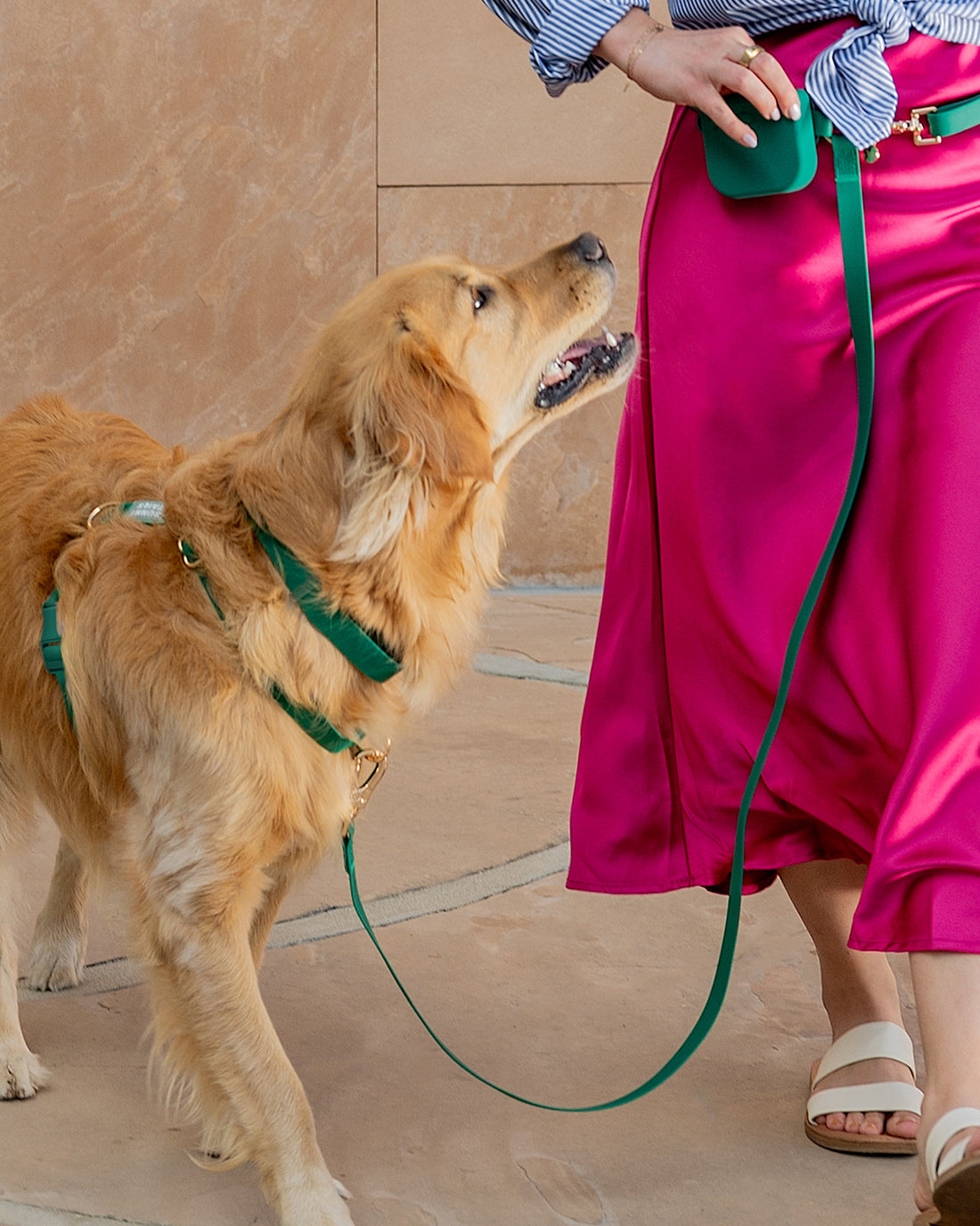 Best Sellers Harness & Treat Pouch Bundle Wide