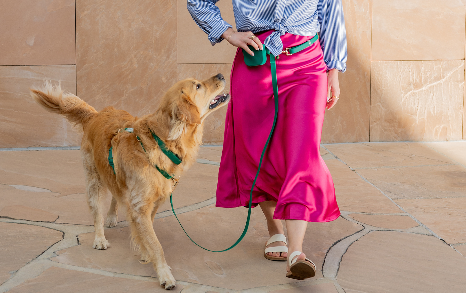 Snap Dog Treat Pouch Bundle (Standard leash preorder ship by 6/12)