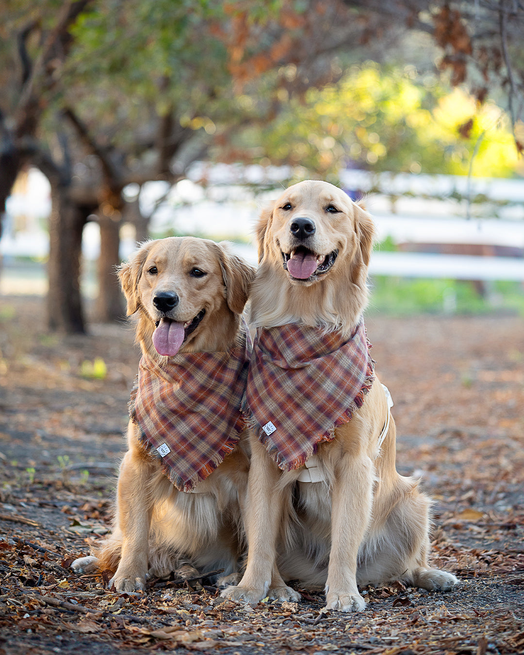 Woodland Wander Plaid Frayed Dog Bandana