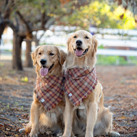 Woodland Wander Plaid Frayed Dog Bandana