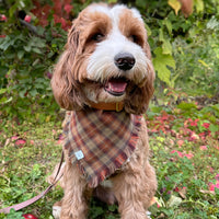 Woodland Wander Plaid Frayed Dog Bandana