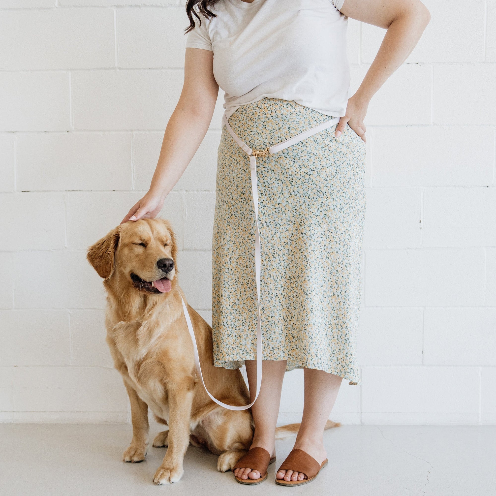 Cloud Lite Dog Harness Bundle Wide