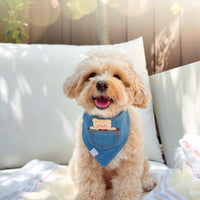 Valentine's Pocket Teddy Denim Dog Bandana - Beige