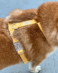 Cloud Lite Dog Harness Bundle - SUNNY TAILS