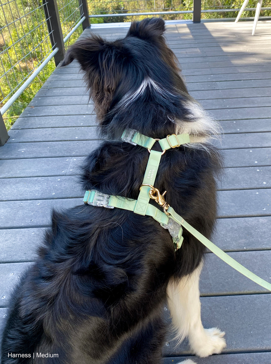 Take German Shepherd Best Dog Harness for Pulling