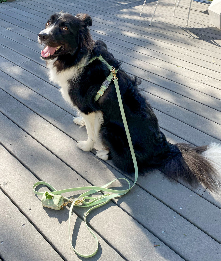 Pistachio Green Cloud Lite Dog Harness | Waterproof Dog Harness | No Pull Front Attachment | Available in 3 Sizes