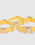 Dandelion Yellow Dog Collar | Waterproof Quick Release Collar | Available in 3 Sizes | Durable Dog Collars | Shop Sunny Tails