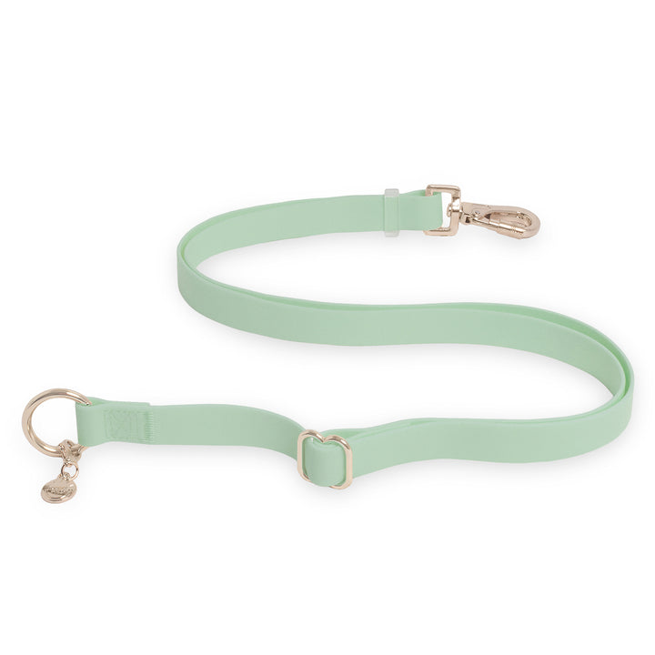 Pistachio Green Cloud Leash 4-Way Extension 3/4" | Leash Connector | Extend Leash, Walk 2 Dogs, or Add a Traffic Handle