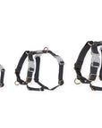 Cloud Lite Dog Harness Bundle