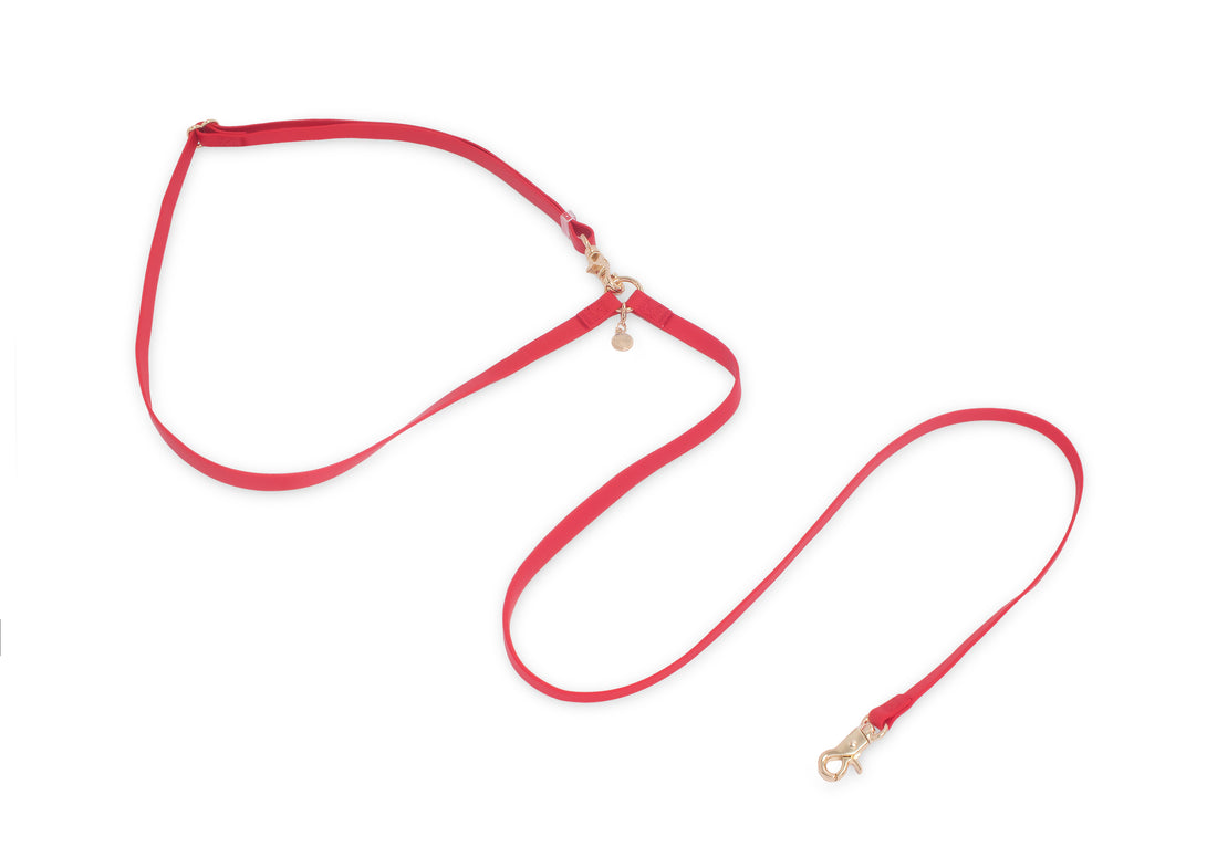 Cherry Red 4-in-1 Convertible Hands Free Cloud Dog Leash
