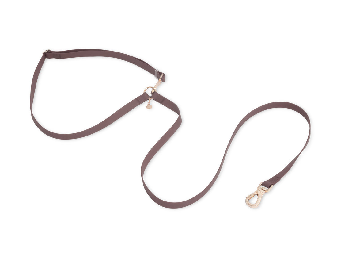 Espresso Brown 4-in-1 Wide Convertible Hands Free Cloud Dog Leash 3/4"