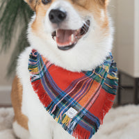 Holiday Cheer Flannel Frayed Dog Bandana | Tartan Red Plaid Christmas Flannel | Shop Sunny Tails