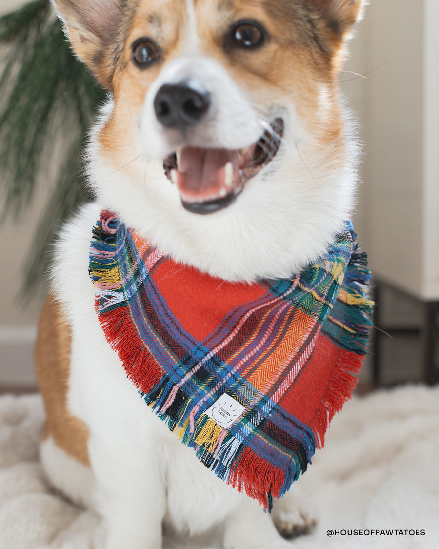 Holiday Cheer Flannel Frayed Dog Bandana | Tartan Red Plaid Christmas Flannel | Shop Sunny Tails