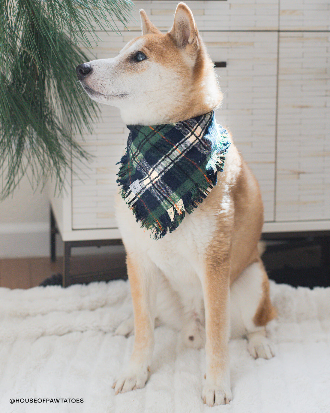 Evergreen Plaid Flannel Frayed Dog Bandana | Green and Blue Plaid Christmas Flannel | Shop Sunny Tails