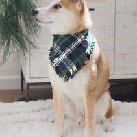 Evergreen Plaid Flannel Frayed Dog Bandana | Green and Blue Plaid Christmas Flannel | Shop Sunny Tails