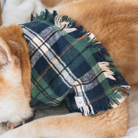 Evergreen Plaid Flannel Frayed Dog Bandana | Green and Blue Plaid Christmas Flannel | Shop Sunny Tails