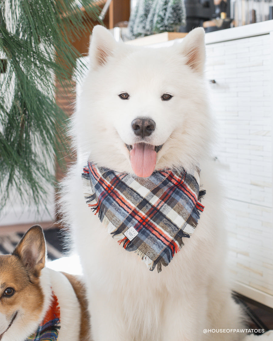 Frosted Foresty Flannel Frayed Dog Bandana | Brown and Blue Plaid Christmas Flannel | Shop Sunny Tails