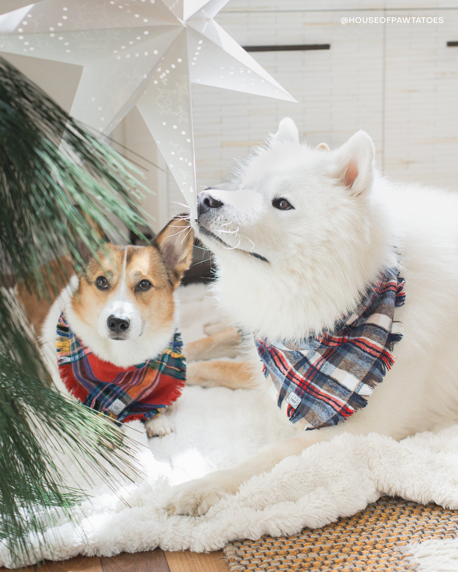 Holiday Cheer Flannel Frayed Dog Bandana | Tartan Red Plaid Christmas Flannel | Shop Sunny Tails