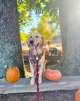 Woodland Wander Plaid Frayed Dog Bandana