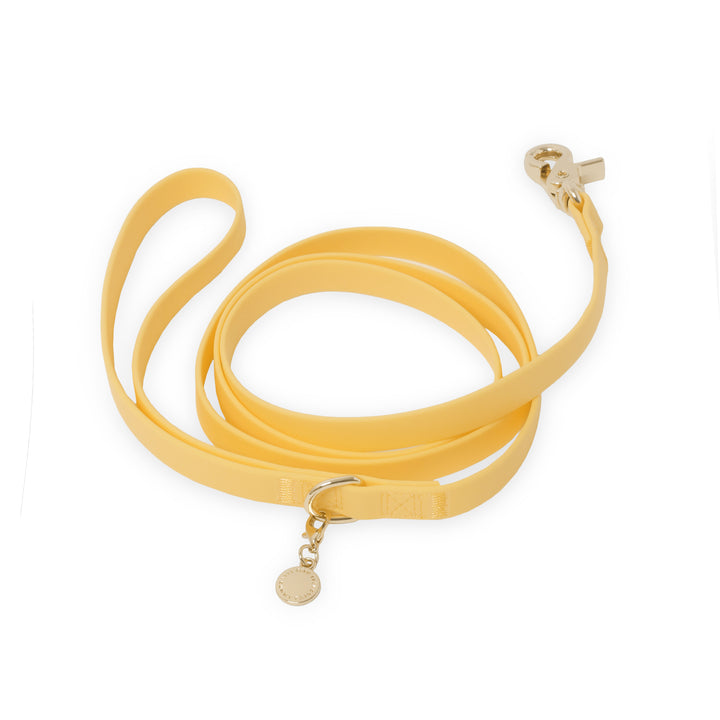Dandelion Yellow Waterproof Cloud Dog Leash | Lightweight PVC Leash | Odor Proof, Stink Proof, and Durable | Available in 3 Lengths 