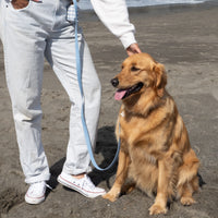 Malibu Blue Wide Cloud Dog Collar Bundle