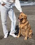 Mulberry Burgundy Wide 4-in-1 Convertible Hands Free Cloud Dog Leash