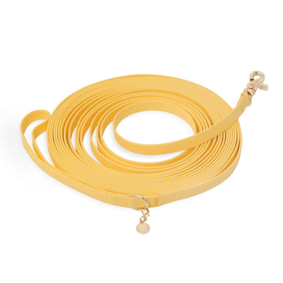 Dandelion Yellow Waterproof Cloud 30 ft Long Line | Lightweight PVC Long Leash | Odor Proof, Stink Proof, and Durable Dog Lead | Available in 3 Lengths 