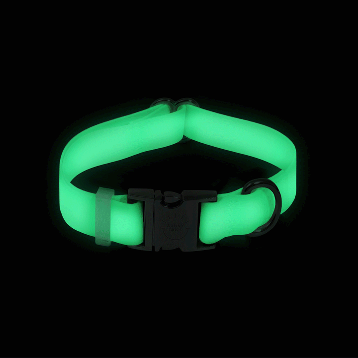 Lunar Glow Waterproof Dog Collar | Glow in Dark Quick Release Collar | Available in 3 Sizes | Durable Dog Collars | White Dog Collar