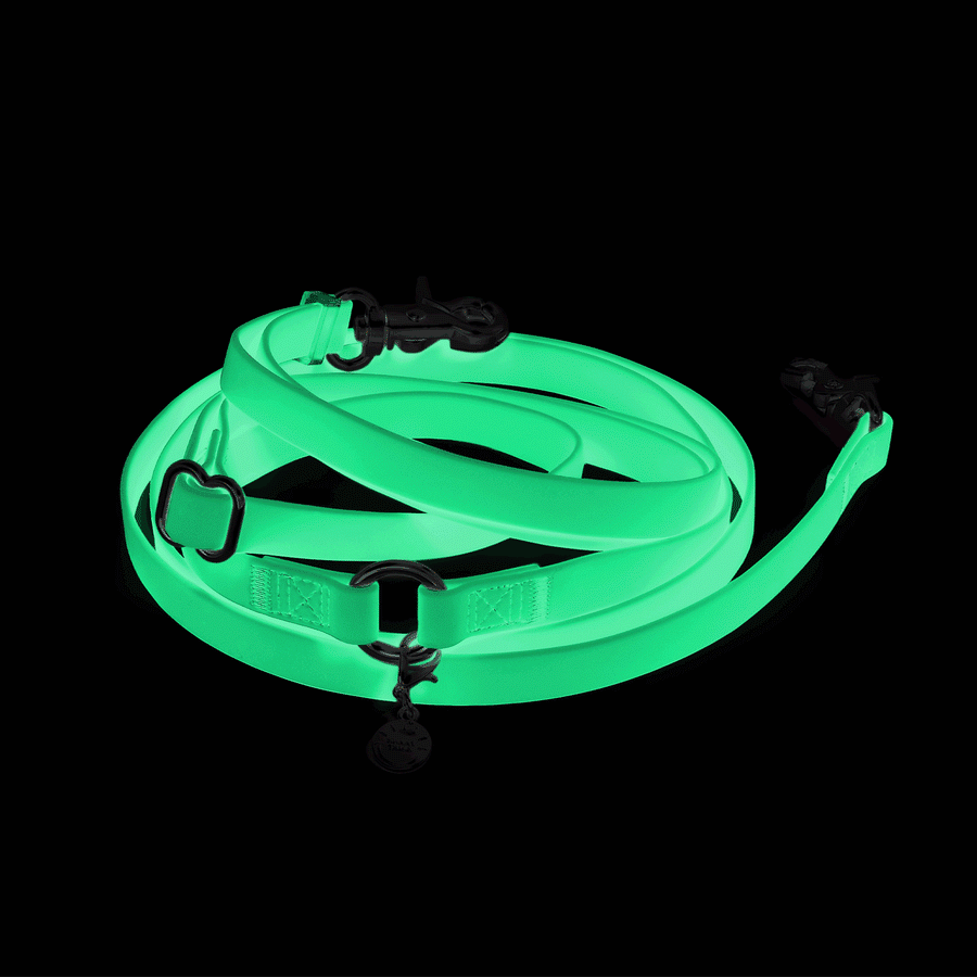 Lunar Glow Convertible Hands Free Cloud Dog Leash | Multifunctional, Glow in the Dark, and Lightweight Dog Leash | Sunny Tails