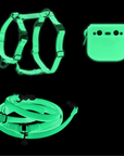 Best Sellers Harness & Standard Treat Pouch Bundle