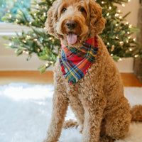 Holiday Cheer Flannel Frayed Dog Bandana | Tartan Red Plaid Christmas Flannel | Shop Sunny Tails