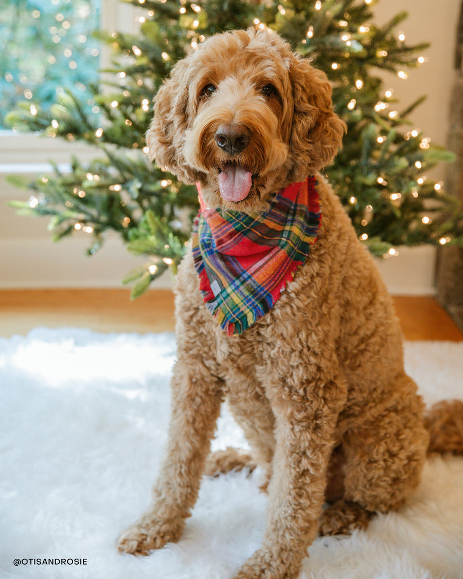 Holiday Cheer Flannel Frayed Dog Bandana | Tartan Red Plaid Christmas Flannel | Shop Sunny Tails