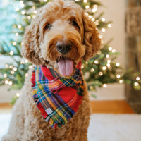 Holiday Cheer Flannel Frayed Dog Bandana | Tartan Red Plaid Christmas Flannel | Shop Sunny Tails