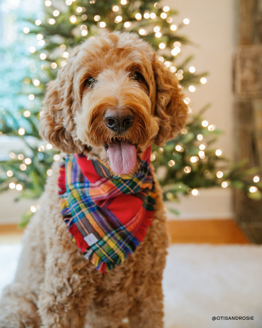 Holiday Cheer Flannel Frayed Dog Bandana | Tartan Red Plaid Christmas Flannel | Shop Sunny Tails