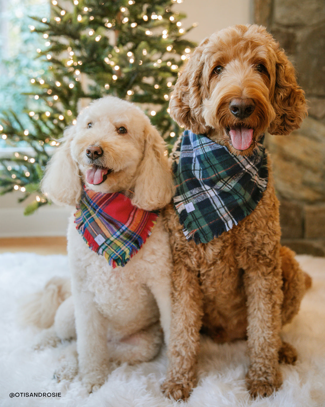 Holiday Cheer Flannel Frayed Dog Bandana | Tartan Red Plaid Christmas Flannel | Shop Sunny Tails