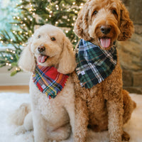 Holiday Cheer Flannel Frayed Dog Bandana | Tartan Red Plaid Christmas Flannel | Shop Sunny Tails