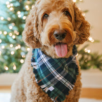 Evergreen Plaid Flannel Frayed Dog Bandana | Green and Blue Plaid Christmas Flannel | Shop Sunny Tails